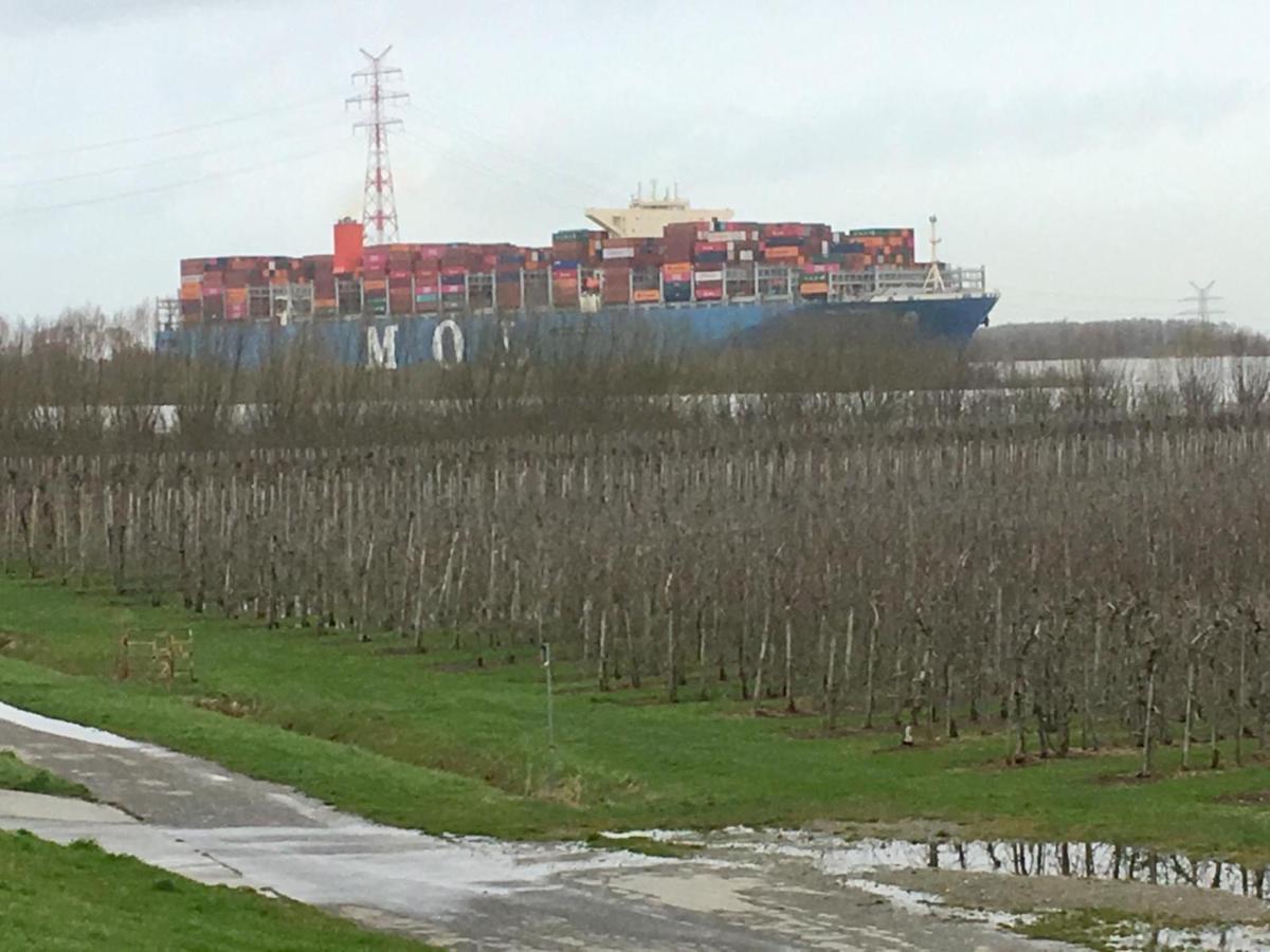 Wohnen Im Alten Land Grünendeich Buitenkant foto