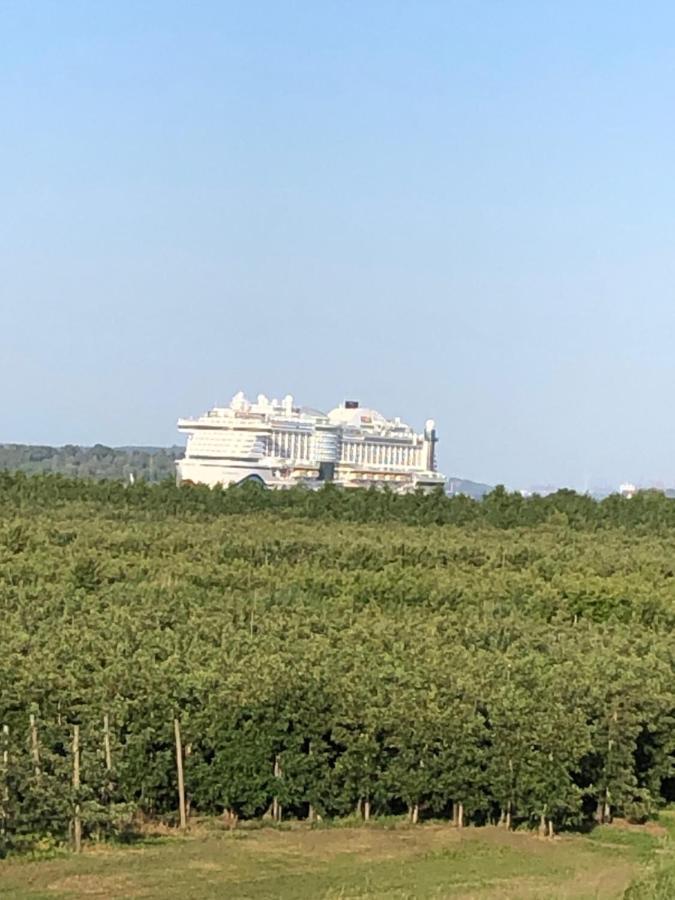 Wohnen Im Alten Land Grünendeich Buitenkant foto