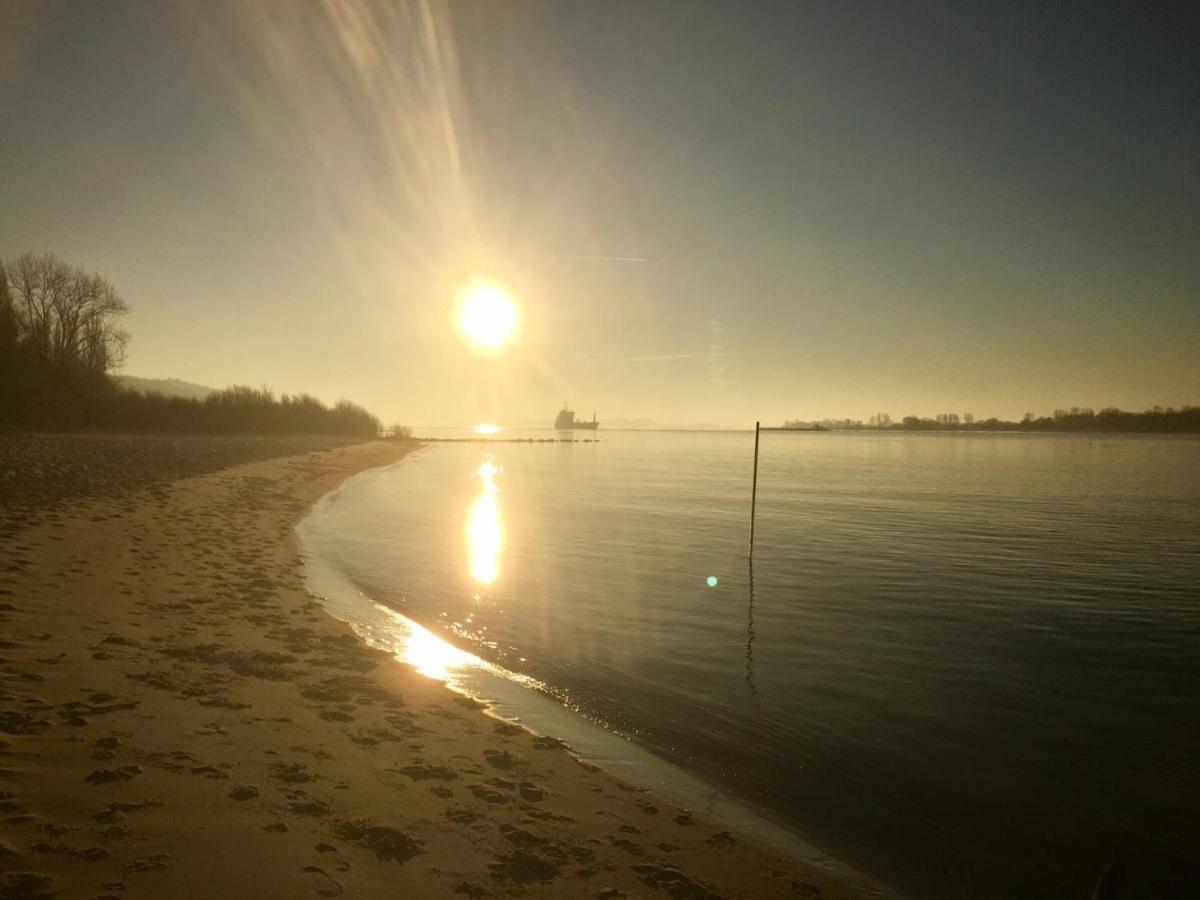Wohnen Im Alten Land Grünendeich Buitenkant foto