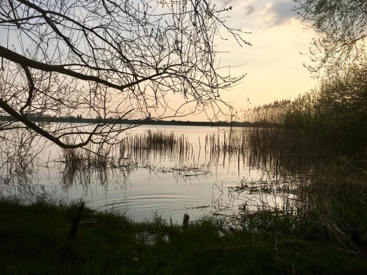 Wohnen Im Alten Land Grünendeich Buitenkant foto