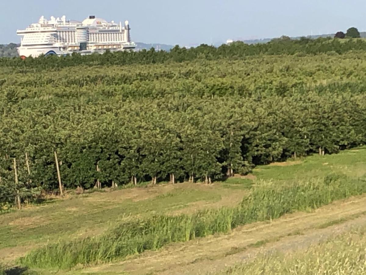 Wohnen Im Alten Land Grünendeich Buitenkant foto